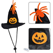 Black Halloween witch hat for pets with orange spider decoration and jack-o'-lantern face, adjustable chin strap included